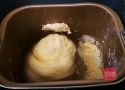 核桃全麦面包的做法图解6