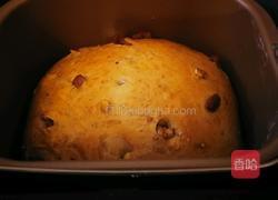 核桃全麦面包的做法图解11