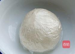 羊肉胡萝卜饺子的做法图解1