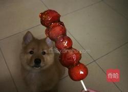 冰糖葫芦的做法图解5