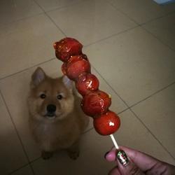 冰糖葫芦的做法[图]
