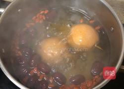 润肺冬果梨汤的做法图解4