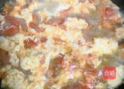 西红柿鸡蛋汤的做法图解5