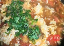 西红柿鸡蛋汤的做法图解6