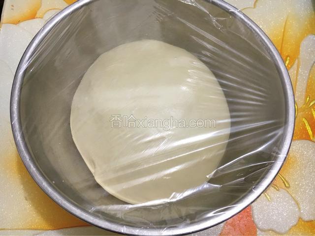 把面团滚圆后放入容器内，盖保鲜膜，放温暖处进行一次发酵。
