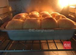 小猫挤挤包的做法图解9