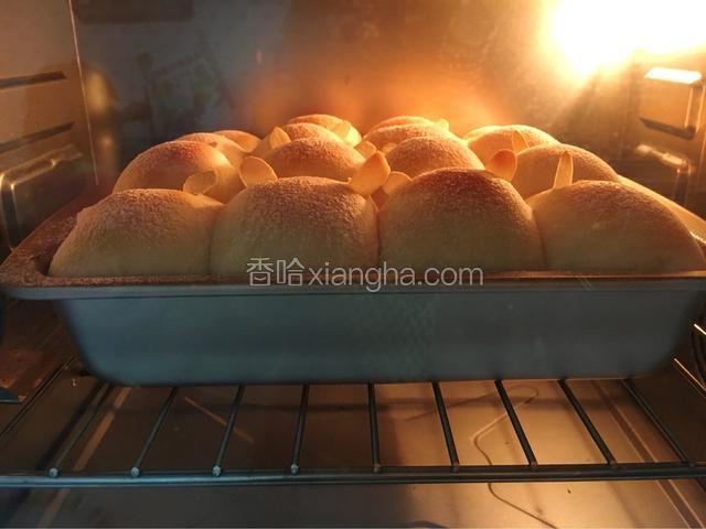 把烤盘放入预热好的烤箱上下火170度，烤25分钟左右。