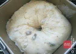 酸奶葡萄干吐司面包的做法图解5