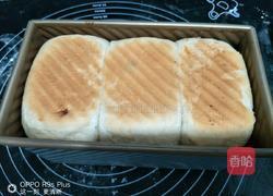 酸奶葡萄干吐司面包的做法图解12
