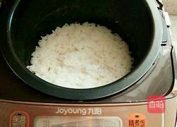 瓢虫饭团的做法图解1