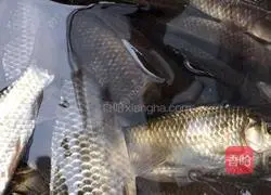 Illustration of how to make cold crucian carp (oil-free version) 1