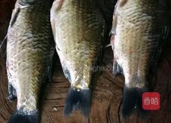 凉拌鲫鱼(无油版)的做法图解2