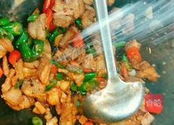 小炒肉的做法图解9