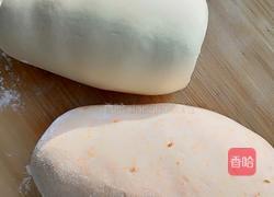 胡萝卜蒸饺的做法图解5