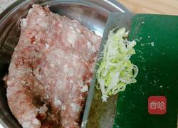 红烧狮子头的做法图解2