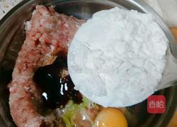 红烧狮子头的做法图解7