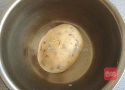 蔓越莓饼干的做法图解8