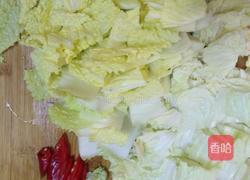 猪肉渣炒大白菜的做法图解1