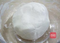 酒酿小丸子的做法图解2