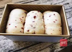 Cranberry Toast Recipe Illustration 11