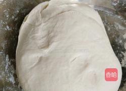 皮皮虾肉三鲜饺子的做法图解23