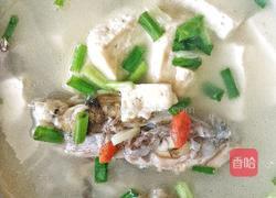 清炖楞蹦鱼（海鲶鱼）的做法图解4