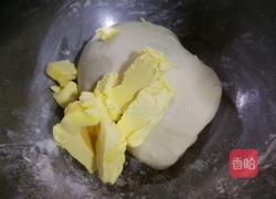 蜂蜜小软欧(波兰种)的做法图解4