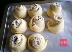 蜂蜜小软欧(波兰种)的做法图解13