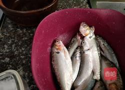 焗海鱼的做法图解1