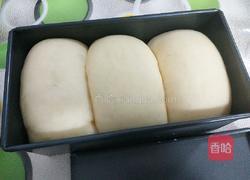 奶香土司的做法图解13