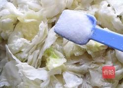 白菜炒肉的做法图解7