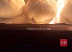 红豆全麦餐包的做法图解6