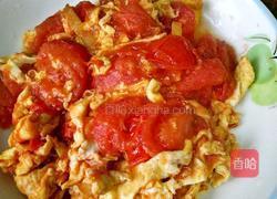 番茄炒鸡蛋的做法图解12