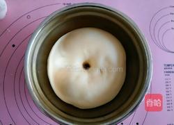 海苔肉松面包的做法图解10