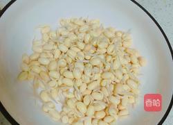 素烩麻食的做法图解2