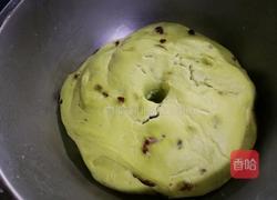 抹茶软欧(波兰种)的做法图解15
