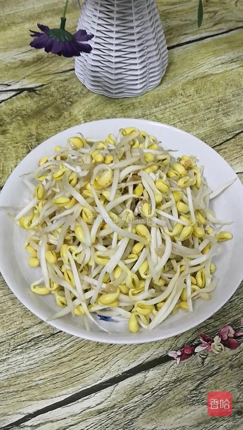 豆芽菜，挑去坏的，洗干净，备用