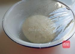 新文美食 胡萝卜羊肉包子的做法图解5