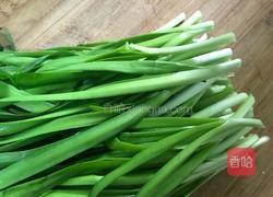 韭菜虾仁肉彩色水饺的做法图解4