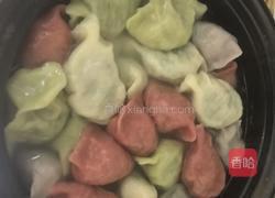 韭菜虾仁肉彩色水饺的做法图解8