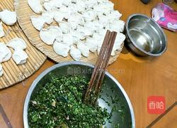 韭菜猪肉水饺的做法图解6