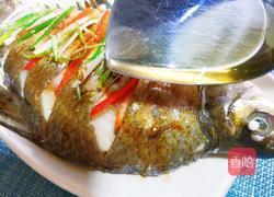 清蒸鳊鱼的做法图解8