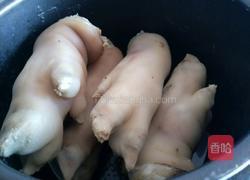 红烧猪蹄的做法图解10