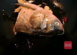 常州～红烧鱼头炖豆腐的做法图解5