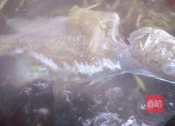 桂鱼豆腐汤的做法图解7