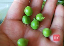 新文美食 扇贝虾仁蛋炒饭的做法图解2