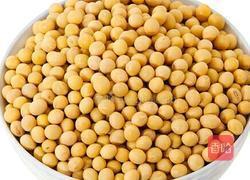 自做腐竹的做法图解1