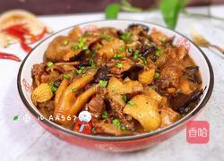 小鸡炖蘑菇粉条的做法图解17