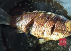 花椒鱼的做法图解6