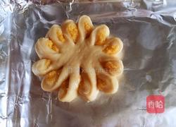 椰蓉花包的做法图解17